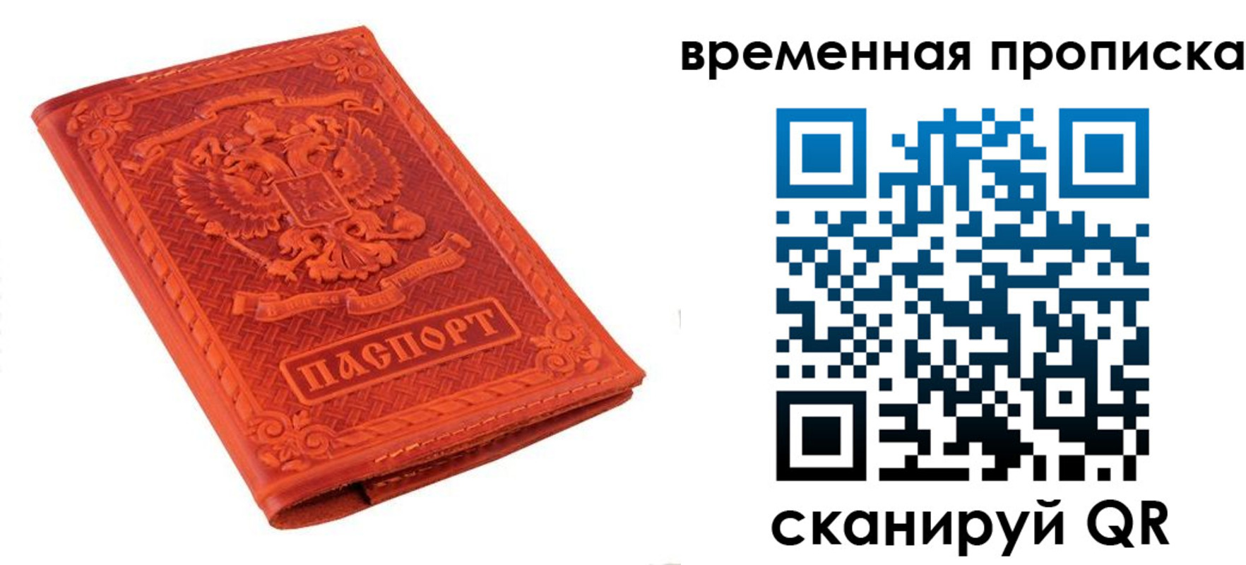 где прописаться в Светлогорске