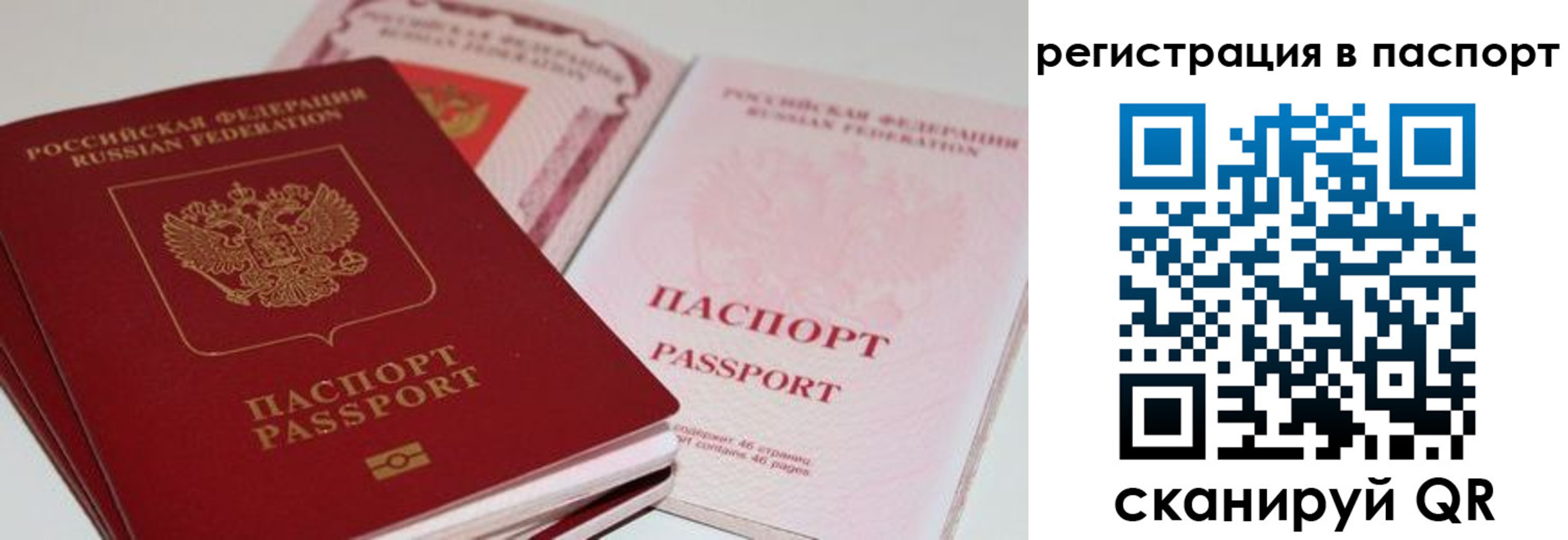 найти адрес прописки в Светлогорске