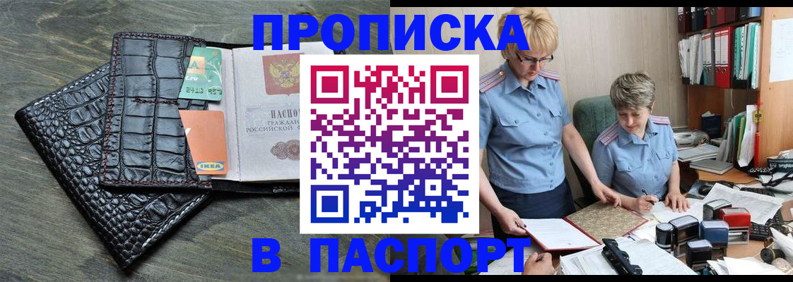 пропишу в квартире в Светлогорске